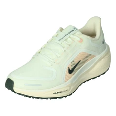 Nike Pegasus 41 GORE-TEX