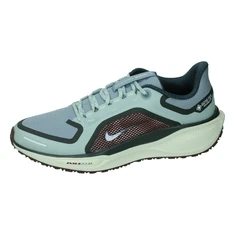 Nike Pegasus 41 GORE-TEX