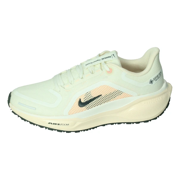 Nike Pegasus 41 GORE-TEX