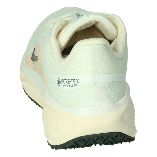 Nike Pegasus 41 GORE-TEX