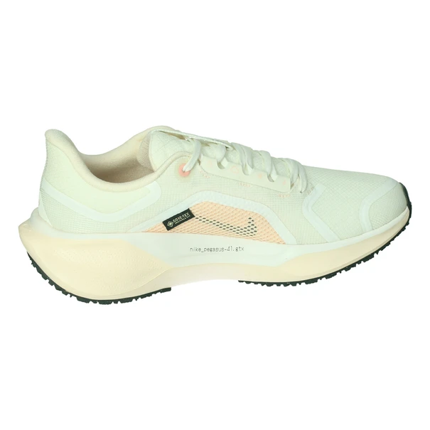 Nike Pegasus 41 GORE-TEX