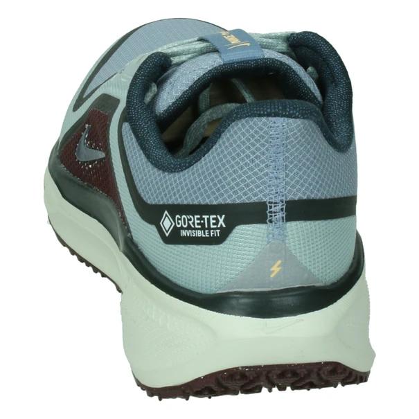 Nike Pegasus 41 GORE-TEX
