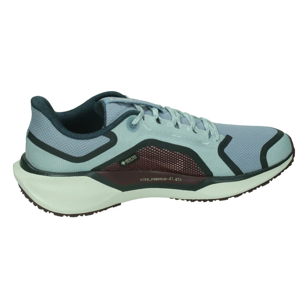 Nike Pegasus 41 GORE-TEX