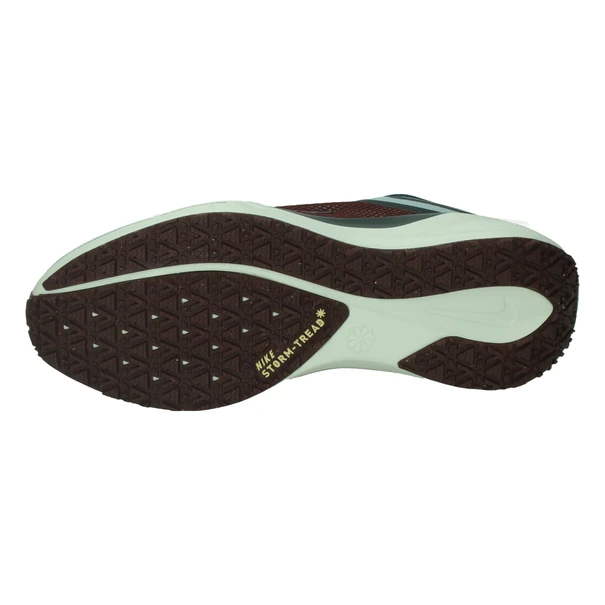 Nike Pegasus 41 GORE-TEX