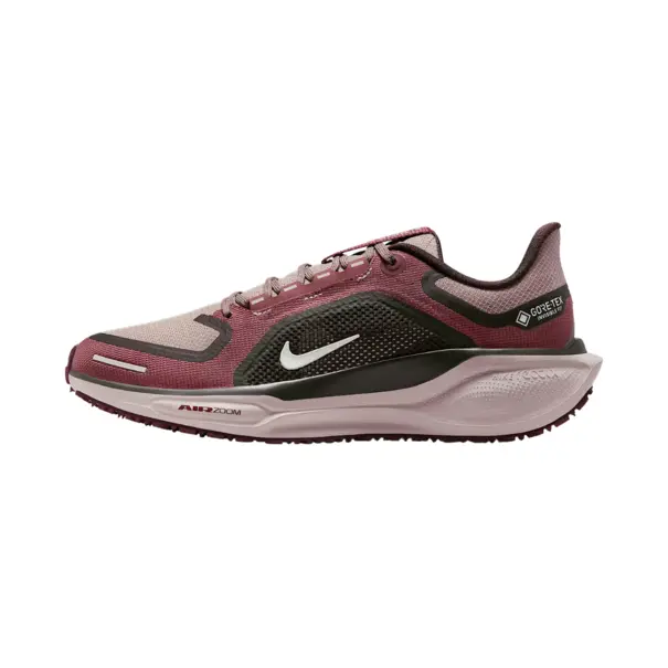 Nike Pegasus 41 GORE-TEX