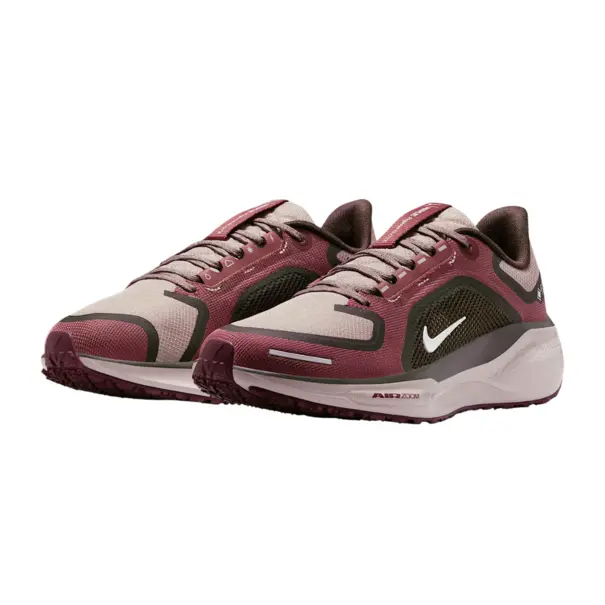 Nike Pegasus 41 GORE-TEX