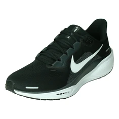 Nike Pegasus 41