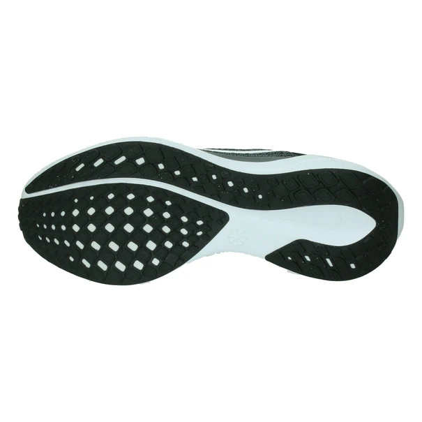 Nike Pegasus 41