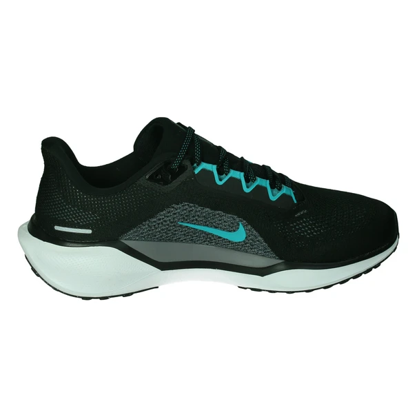 Nike Pegasus 41