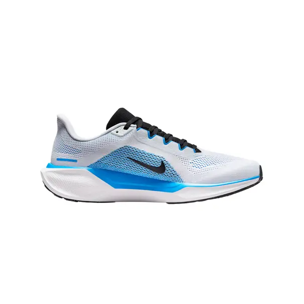 Nike Pegasus 41