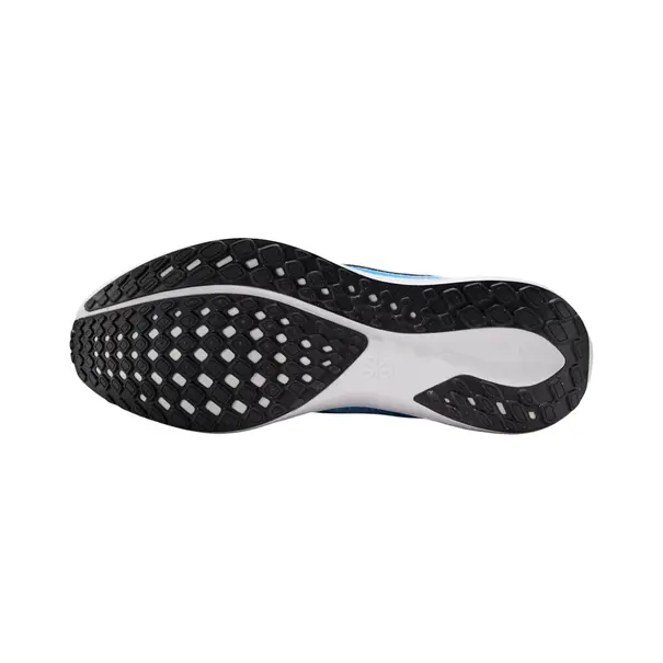 Nike Pegasus 41