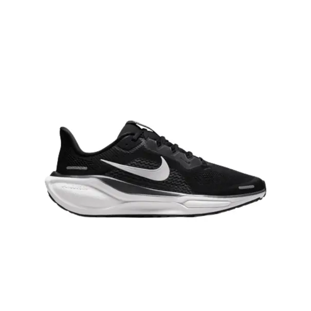 Nike Pegasus 41