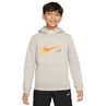 Nike Sportswear Fleece Graphic Hoodie