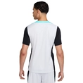 Nike Strike Dri-FIT shirt