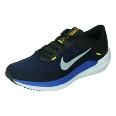 Nike Winflo 10