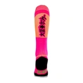 Osaka Hockey Sox Hockeykousen