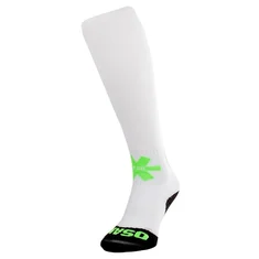 Osaka Hockey Sox Hockeykousen