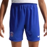 Paris Saint-Germain Dri-FIT Stadium Home Short