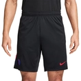 Paris Saint-Germain Dri-FIT Strike Short