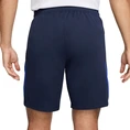 Paris Saint-Germain PSG M NK DF STRK SHORT KZ