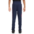 Paris Saint-Germain PSG Y NK DF ACDPR PANT KPZ ESN