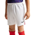 Paris Saint-Germain PSG Y NK DF SHORT STAD AW