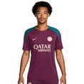 Paris Saint-Germain Strike training shirt - 2024/2025