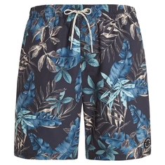 Protest DORSET beachshort