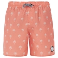 Protest Fonz boardshort