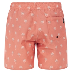 Protest Fonz boardshort