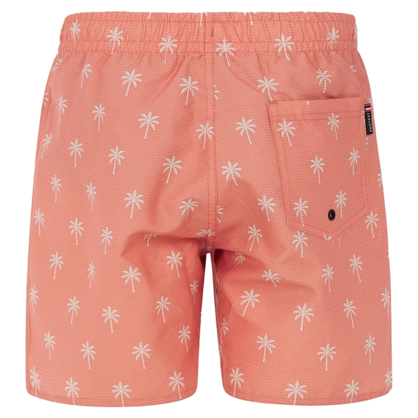 Protest Fonz boardshort