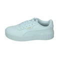 Puma Carina 3.0