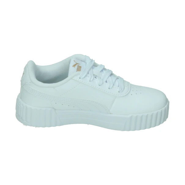 Puma Carina 3.0
