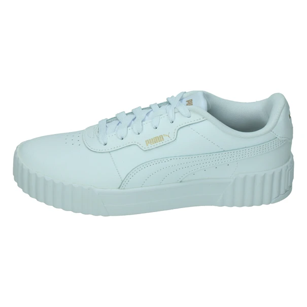 Puma Carina 3.0