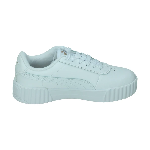 Puma Carina 3.0
