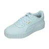 Puma Carina 3.0