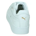 Puma Carina Street