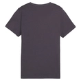 Puma ESS+ MID 90s grafisch T-shirt