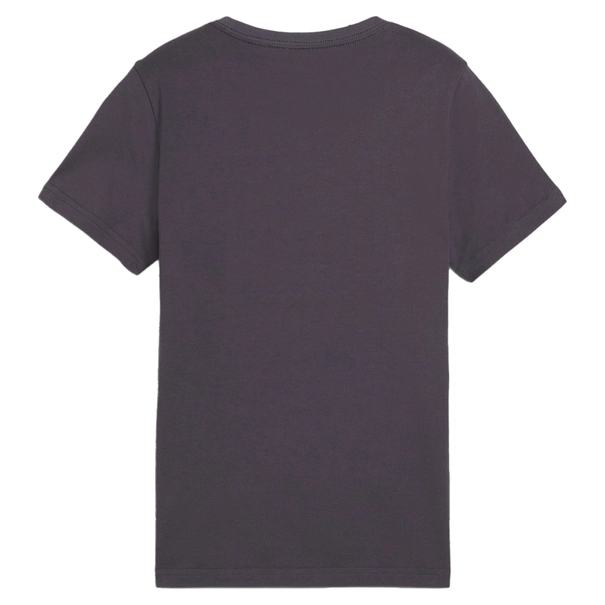 Puma ESS+ MID 90s grafisch T-shirt