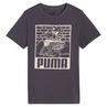 Puma ESS+ MID 90s grafisch T-shirt