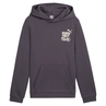Puma Ess+ Mid 90S Hoodie