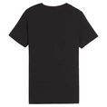 Puma Essential +2 col logo T-shirt