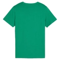 Puma Essential +2 Col logo T-shirt