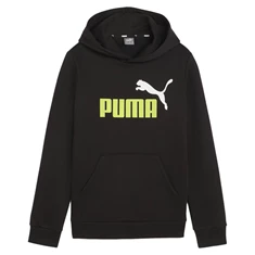 Puma Essentials Hoodie