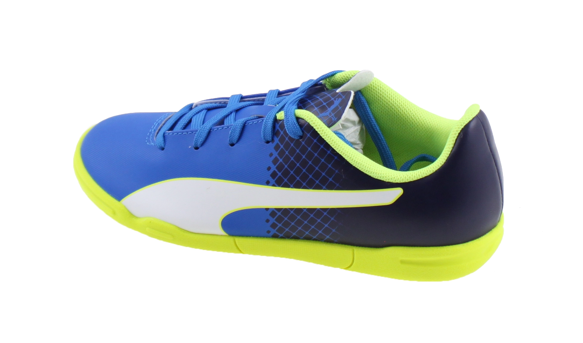 puma evospeed tf