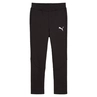 Puma EVOSTRIPE PANTS DK B