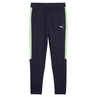 Puma EVOSTRIPE PANTS DK B