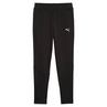 Puma EVOSTRIPE PANTS DK B