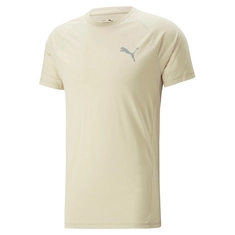 Puma EVOSTRIPE TEE