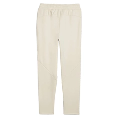 Puma EVOSTRIPE WINTERIZED PANTS